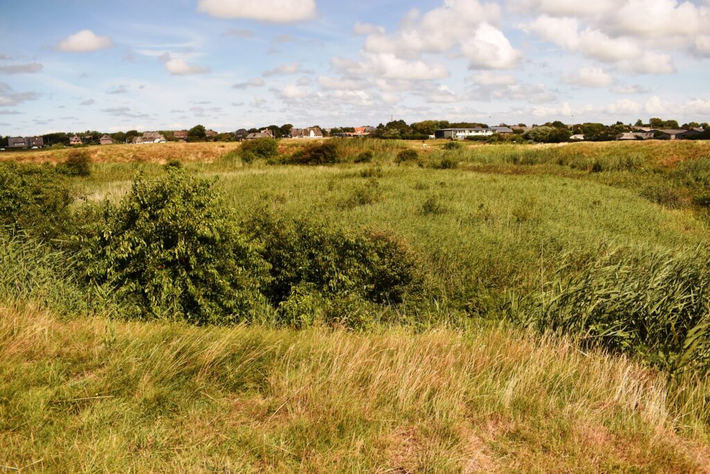 Tinnum auf Sylt – Tinnumburg und Tinnumer Wiesen